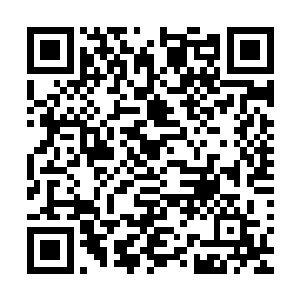 他诚实地表示他不知道之前安东尼和亚当之间到底发生了什么二维码生成