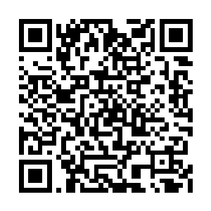 他调动的主宰威能超过了刚才的十次以上的攻击二维码生成