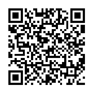 他走了一段距离才发现岛的规模比他原来预计的还大一点二维码生成