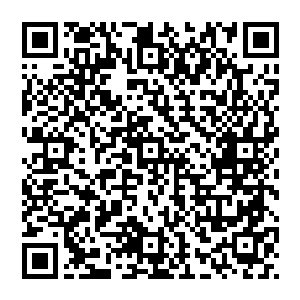 他赶上了欧洲自越战以来最大规模的反战游行――几百万人在寒风凛凛中于街头矗立高喊反美口号二维码生成