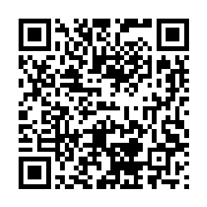 他跟他的师父分享他第一次飞出去看到世间的心情和经历二维码生成