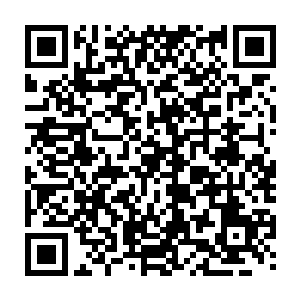 他跳的几乎和横梁一样高了……而今天的荣则跳得比横梁更高简直不可思议二维码生成