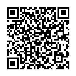 他跳的几乎和横梁一样高了……而今天的荣则跳得比横梁更高二维码生成