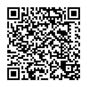 他身下几乎已经成为了一个小点的血骨城中也忽然出现了一个巨大的二维码生成