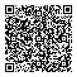 他身体之内 在急速的变化着 无数的血魔晶开始快速融合 快到了极致 而在融合之间 身上的痛苦也是快速的叠加二维码生成