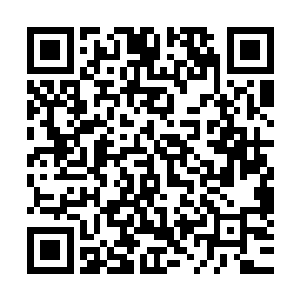 他身体的各项数据立刻通过含棒内的采集器传送到穆根手里了二维码生成