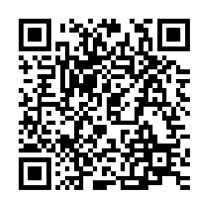 他身后的不管是谢家还是后来明面上表明要给予他支持的王家二维码生成