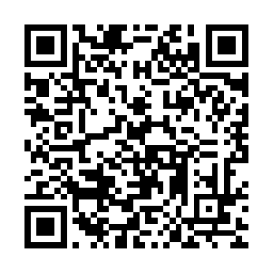 他还从来没有碰到过能够和他九重冰天神枪气势相抗衡的神器呢二维码生成