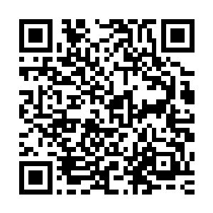 他还从来没有遇到过将防守做到如此程度堪称滴水不漏的中单二维码生成