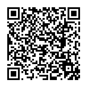 他还无师自通地学会用野草编制的草绳把螃蟹的两只大螯钳给绑起来二维码生成