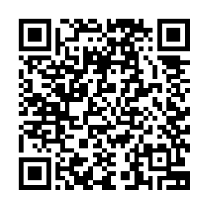 他还是不敢相信自己家族的理事会为了一个中国年轻人处置他二维码生成