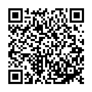 他还是得给蔡公民已经暗地里在燃烧的心情再添上一把柴二维码生成