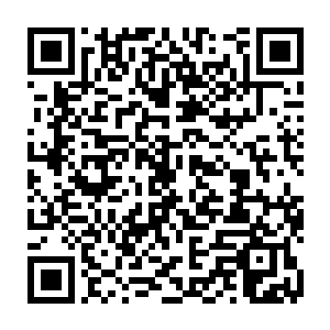 他还是有些不死心的分别用绿土和月华灵液对这些成熟的墨蝰藤培育了一次二维码生成