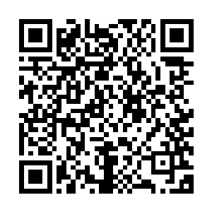 他还是没有任何反抗之力便被这些丧尸巨蟒的肉瓣给绞成铁球二维码生成