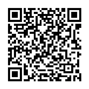 他这两个仓库的翡翠毛料已经是解出过五亿的天价翡翠了二维码生成