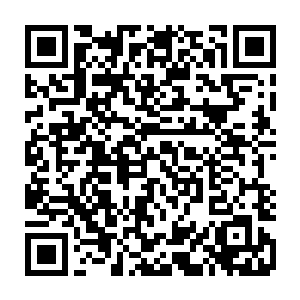 他这个做教练的差一点就举手投降了……如果不是听到了荣光的这番话……二维码生成