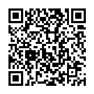 他这么拼命表现自己一定是想吸引斯科拉里的注意……二维码生成