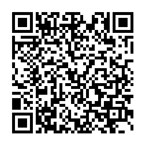 他这是用某种方法引动了奥林匹斯历代强者留在命运长河内的印记二维码生成