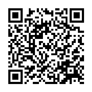 他这次借方凌去参加六宗之会的机会和陈丰进行深谈二维码生成