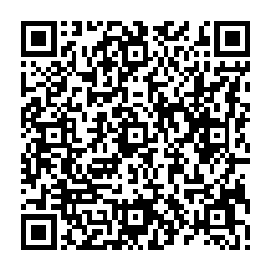 他这次带着家族的人来参加论道大会的最主要目的就是为了能够获得一本修炼的秘笈二维码生成