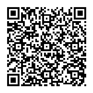 他这种中二理念以及毫不羞耻地往自己脸上贴金的行为意识……npc身上肯定是没有的二维码生成