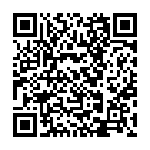 他迟迟没有采取行动是不是他已经知道了情况而按兵不动二维码生成
