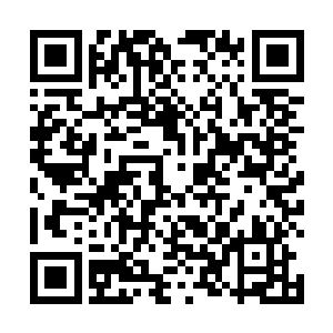 他追林小楠的缘故也完全是因为他看出了林小楠的纯洁二维码生成