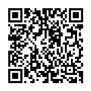 他那一招我完全想不到……原来赵师伯根本就没用用心和我们打二维码生成