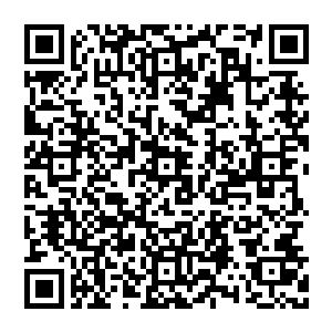 他那一掌也已经狠狠的印在了那个小师弟的心脏部位了……恐怖的掌力差一点就把那个小师弟的胸腔完全打爆了二维码生成
