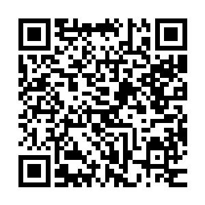 他那冻死人的表情像极了刚和花千寻离婚的那个时候一样一样的二维码生成