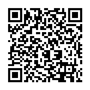 他那微紫的眸子一眨不眨地盯着下方不时闪过的森森白骨二维码生成
