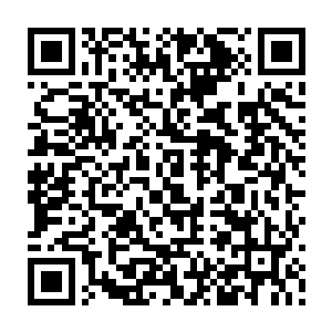 他都已经忘记这件事了……在眼前这位洛姑娘接二连三出人意料的表现下二维码生成