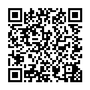 他随手从早就惊呆了的柴翰林的书桌上拿起他的历史课本二维码生成