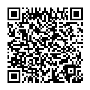 他马上就明白了为什么这一次林冰会让金龙和李苏跟着他去办事了二维码生成
