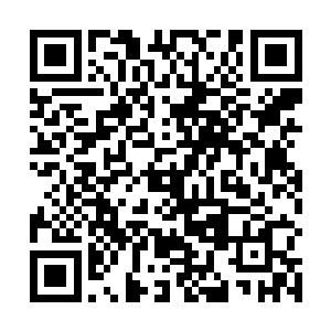 仙主等修士怎么肯在这个时候抽取世界之力和对方硬战二维码生成