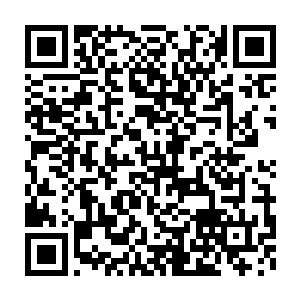 仙国商会的安掌柜和风云客栈的老板娘都是亲眼见证了事发经过的二维码生成