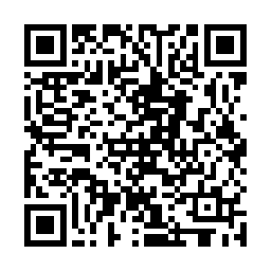 仙界以及神界的所有的经历都给木云婷简单的说了一遍二维码生成