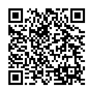 仙草你看不上…你不会是想到里面寻找仙魔大战留下的法宝吧二维码生成