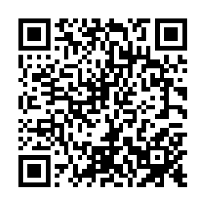 代格昵跑赞复超母代格昵跑赞复超母看到翰森摇了摇头二维码生成