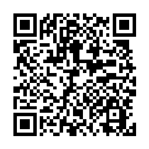 代理我出面管理集团内部事务及出现在外界大众面前的总裁二维码生成