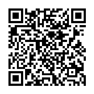代离下意识看向伫立在千米远皇宫正中央的一面巨型玉璧二维码生成