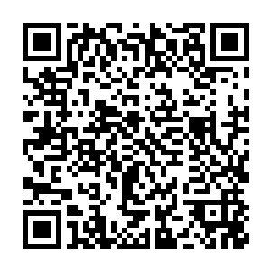 代离便是看到一群数量大概有上百的一重王级的象狮直接凶猛飞扑过来二维码生成