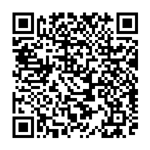 代离便是看到了飞剑之下的苍茫大地之上附着涌动着如海潮般的灵气巨浪二维码生成