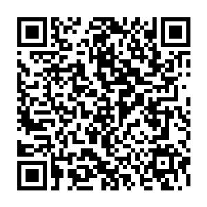 代离原以为商别离他们口中忌惮的云祭莲是云家的少主或者第一天才什么的二维码生成
