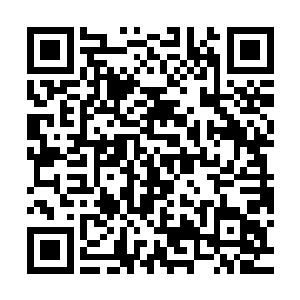 代离在镇魔塔的一丛清幽林旁的小摊子里看到了坐在其中的男子二维码生成