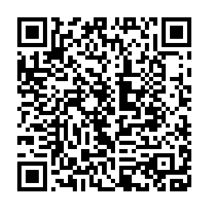 代离都想掰着手指头算算在血族历史上是有多少个血族帝王活过这么大岁数了二维码生成