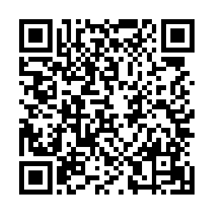 代表了每一个局外人的沙摩塞最终看着眼前的悲剧一言不发二维码生成