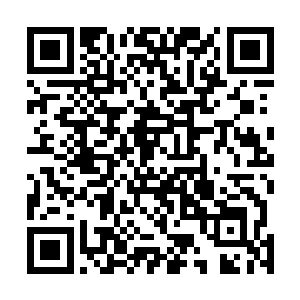 代表南武林年轻一代实力最强的天南四秀一个都没有出现二维码生成