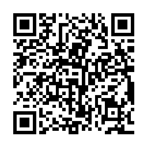 以为猴子会将这个很快毫无用处的法器拿来交换一点有用的讯息二维码生成