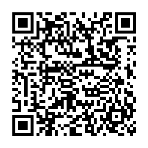以为这一战已经没他们什么事情的罗浮宫直属和罗浮宫附属的人马二维码生成